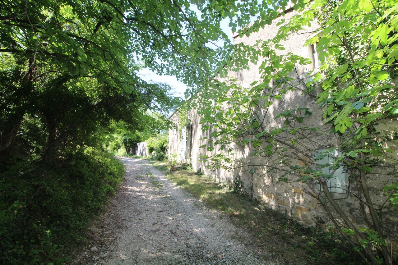 Chateau De Fontblachere Saint-Lager-Bressac 外观 照片